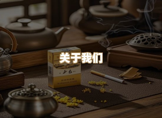 关于逸客网